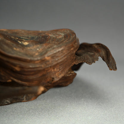 Antique Cloud Shaped Root-wood Scholars Stand