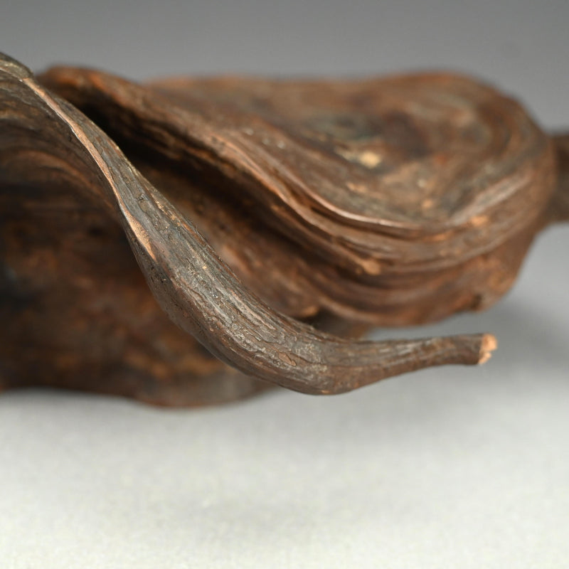 Antique Cloud Shaped Root-wood Scholars Stand