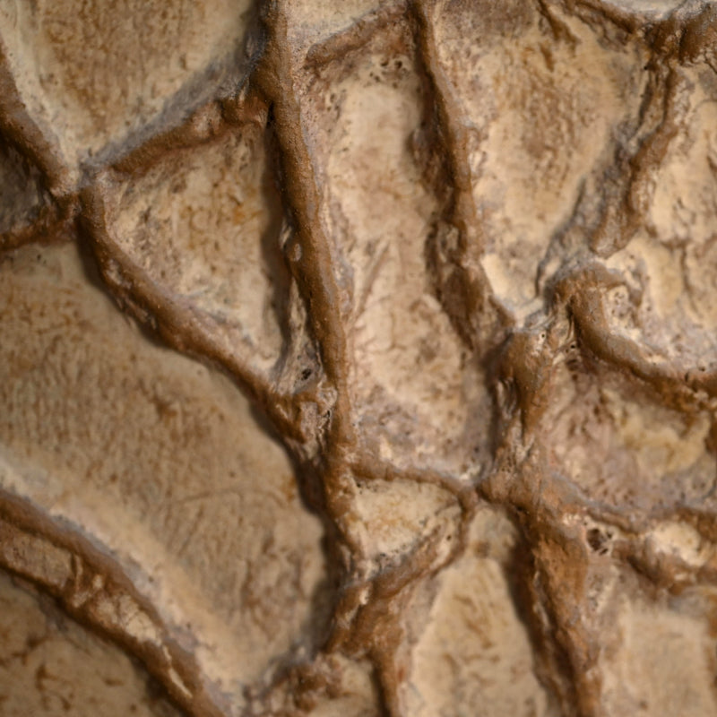 Important Work, Radiance ー下村 良之介 “散暉”