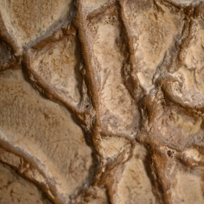 Important Work, Radiance ー下村 良之介 “散暉”