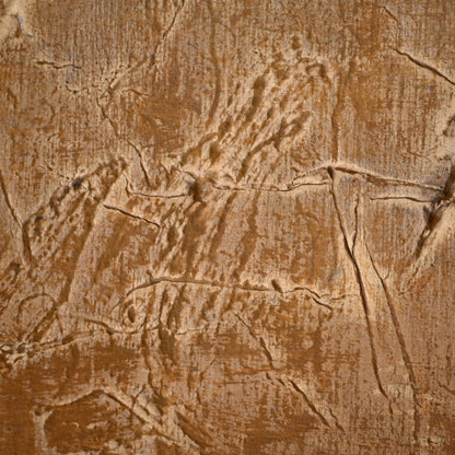 Important Work, Radiance ー下村 良之介 “散暉”