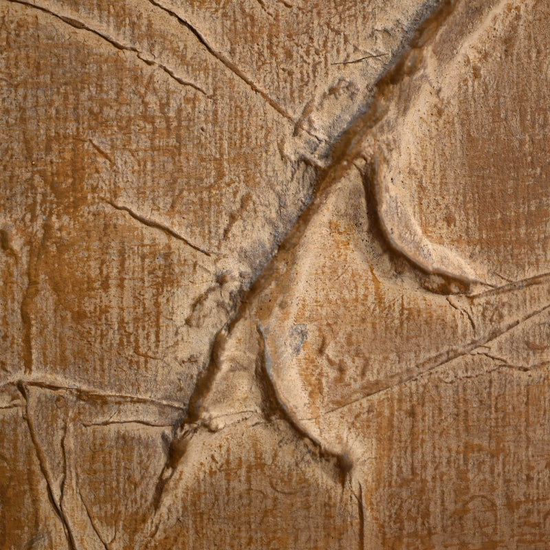 Important Work, Radiance ー下村 良之介 “散暉”