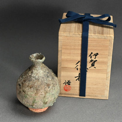 Iga Tokkuri ー大前 悟 “伊賀 徳利”