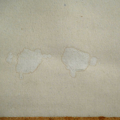 Pine and Chrysanthemum, 1927 ー福田 古道人 “松菊図”