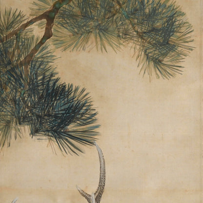 Deer in the Pine Forest ー岡本 芳水