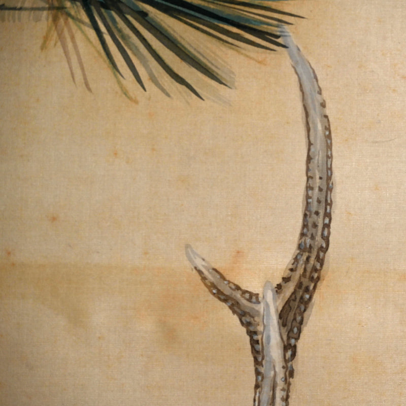 Deer in the Pine Forest ー岡本 芳水