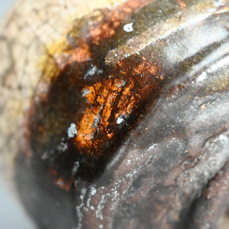 Antique Japanese Chawan Tea Bowl ー本阿弥 光瑳 “根分茶碗”