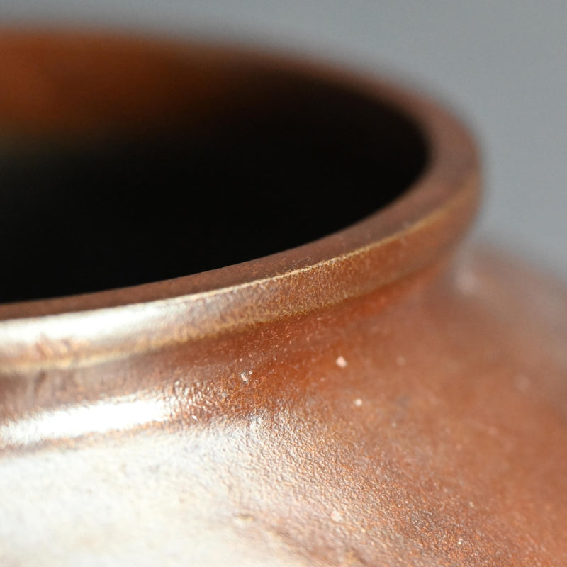 Large Antique Bronze Dragon Vase Vase ー大島 如雲 “雲龍花瓶”