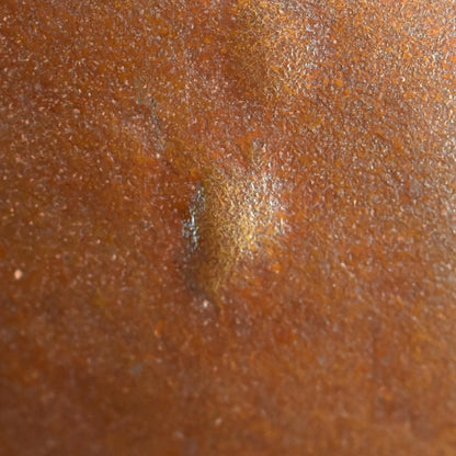 Large Antique Bronze Dragon Vase Vase ー大島 如雲 “雲龍花瓶”