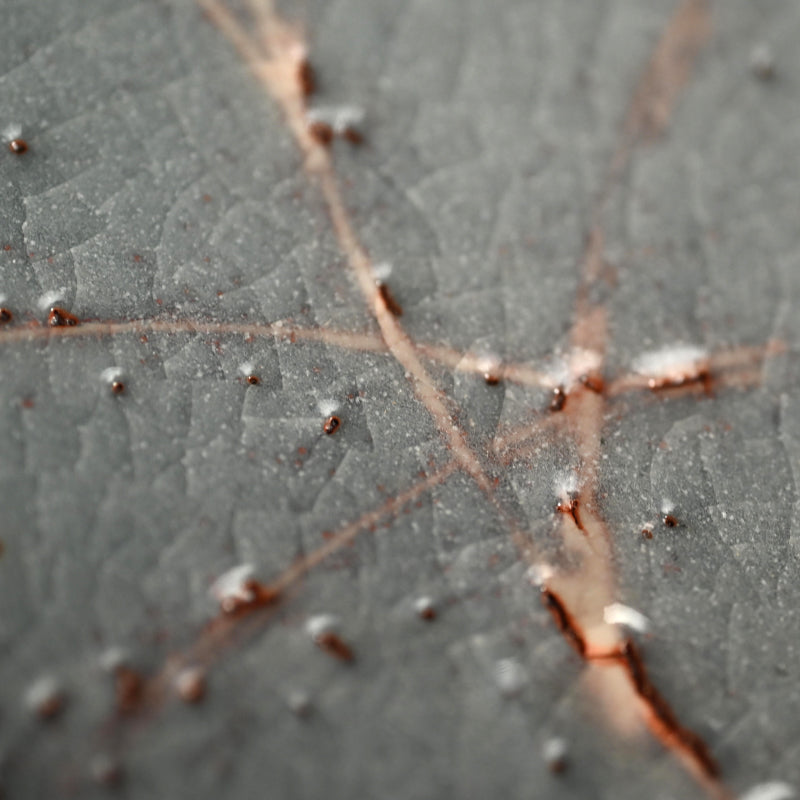 Nezumi Shino Platter ー若尾 利貞 “鼡志野長板”