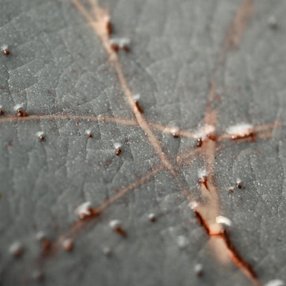 Nezumi Shino Platter ー若尾 利貞 “鼡志野長板”