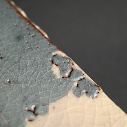 Nezumi Shino Platter ー若尾 利貞 “鼡志野長板”