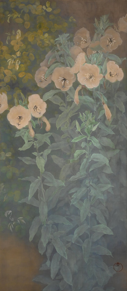 Evening Primrose ー藤森 青芸 “月見草之図”