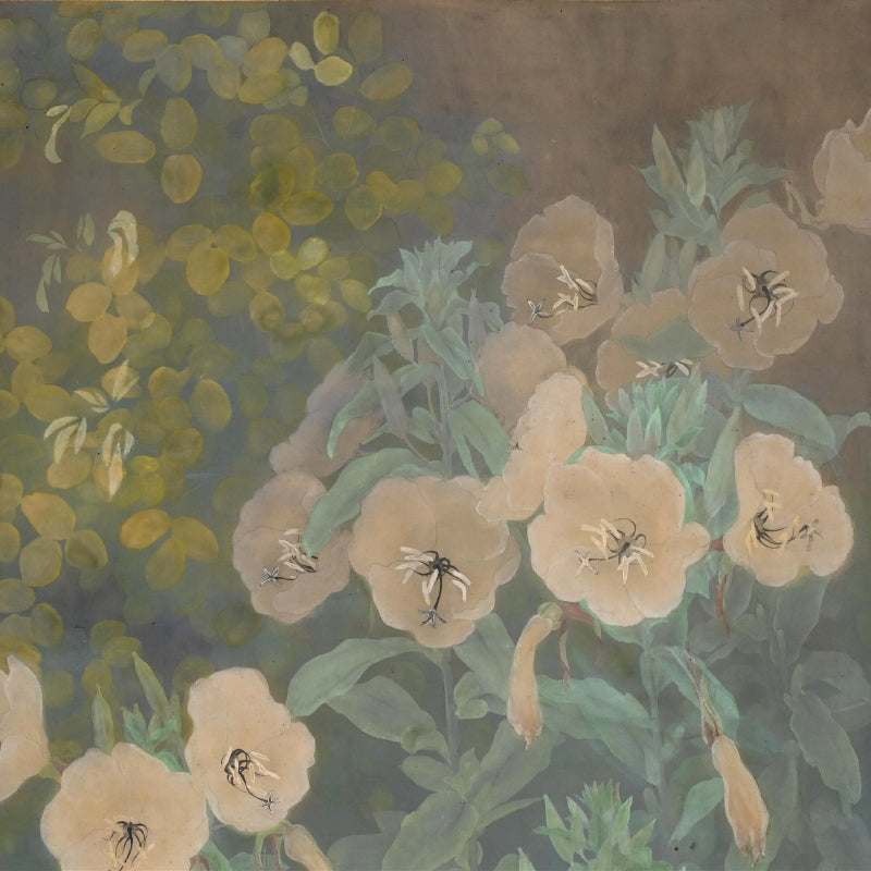 Evening Primrose ー藤森 青芸 “月見草之図”