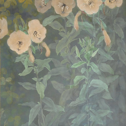 Evening Primrose ー藤森 青芸 “月見草之図”