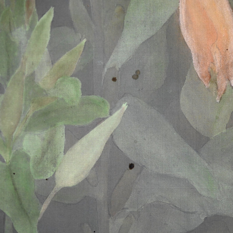 Evening Primrose ー藤森 青芸 “月見草之図”