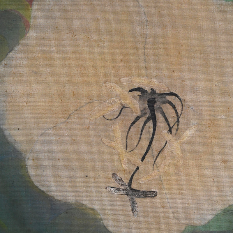 Evening Primrose ー藤森 青芸 “月見草之図”