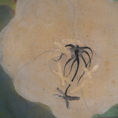 Evening Primrose ー藤森 青芸 “月見草之図”