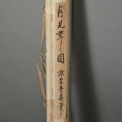 Evening Primrose ー藤森 青芸 “月見草之図”