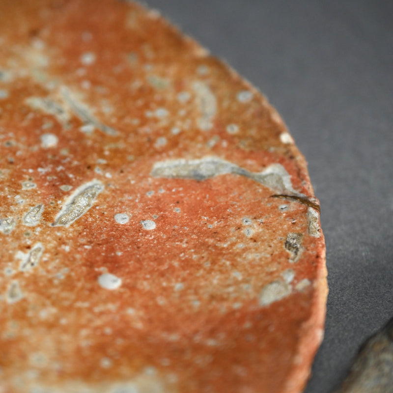 Shigaraki Round Plate ー古谷 和也 “信楽窯変円皿”