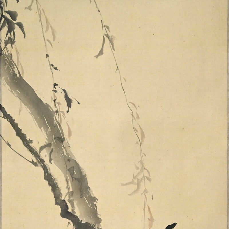 Japanese White Eye in Willow ー菊池 芳文 “眼児”