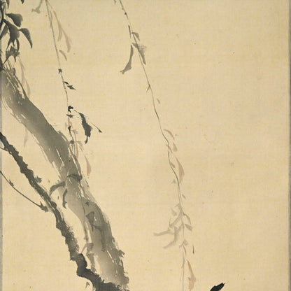 Japanese White Eye in Willow ー菊池 芳文 “眼児”