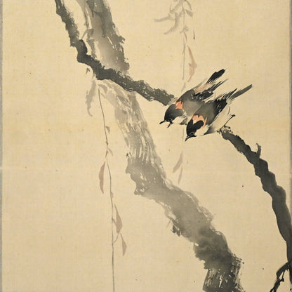 Japanese White Eye in Willow ー菊池 芳文 “眼児”