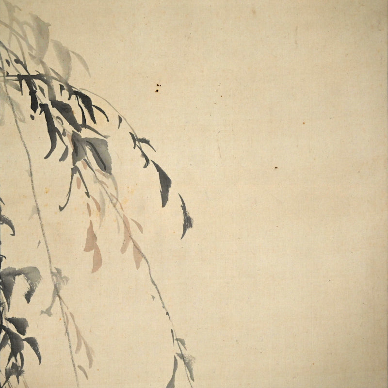 Japanese White Eye in Willow ー菊池 芳文 “眼児”