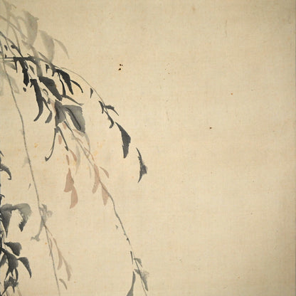 Japanese White Eye in Willow ー菊池 芳文 “眼児”