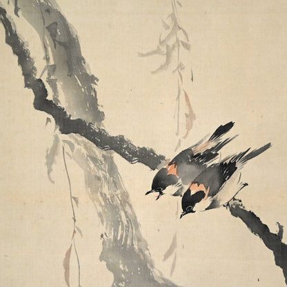 Japanese White Eye in Willow ー菊池 芳文 “眼児”