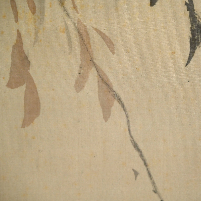 Japanese White Eye in Willow ー菊池 芳文 “眼児”