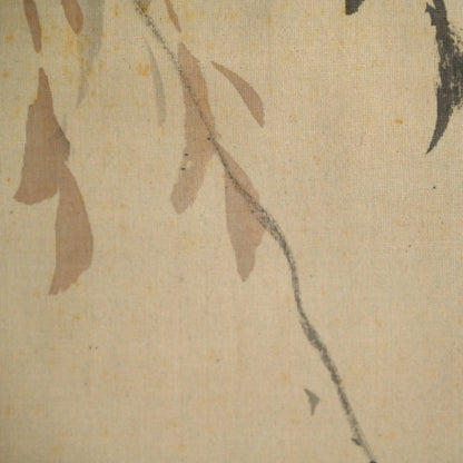 Japanese White Eye in Willow ー菊池 芳文 “眼児”