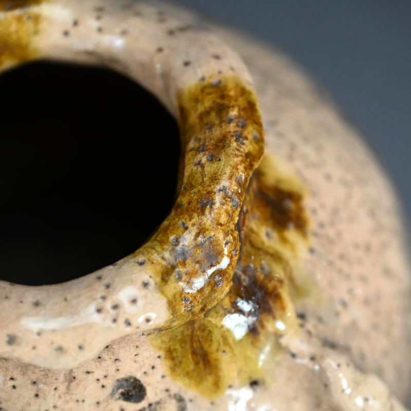 Vase and Fukusa ー富岡鉄斎 “鉄斎先生壺 花瓶”