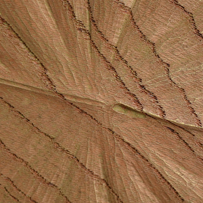 Sublime Inami Wood Carving, Lilly Pond ー川原 正士 “睡蓮”