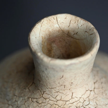 Imitating Life, a Rare Raw Clay Vase by LNT ー清水 卯一 “素地釉 花瓶”