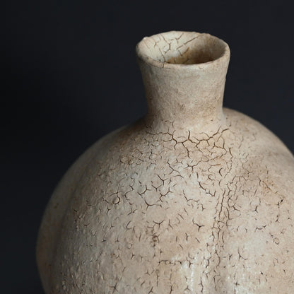 Imitating Life, a Rare Raw Clay Vase by LNT ー清水 卯一 “素地釉 花瓶”