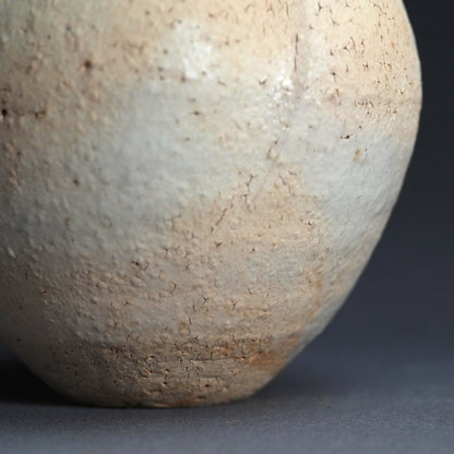Imitating Life, a Rare Raw Clay Vase by LNT ー清水 卯一 “素地釉 花瓶”