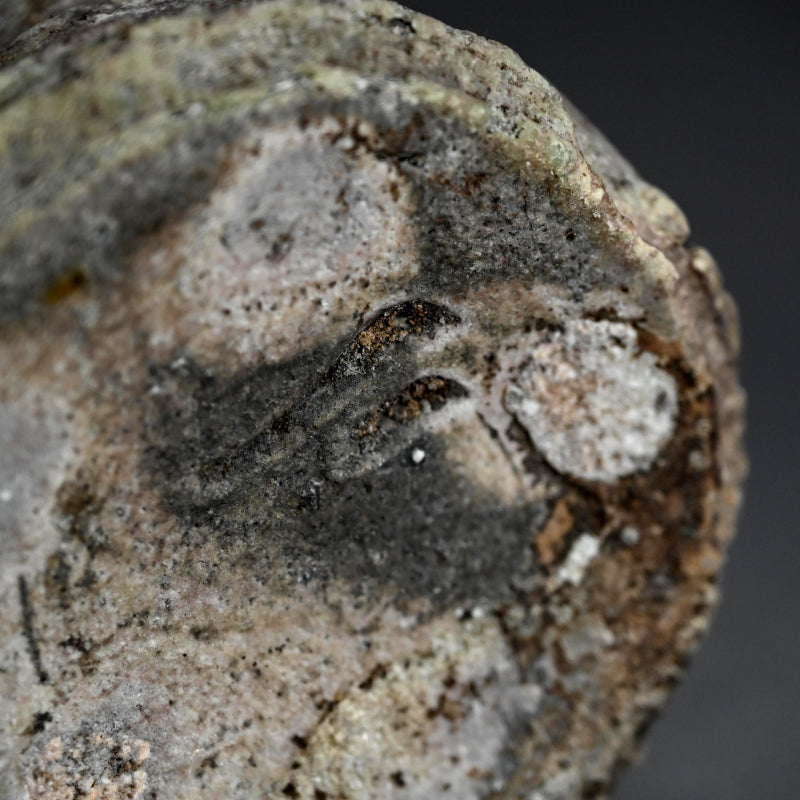 Rugged Echizen Vase ー西浦 武 “越前 花入れ”