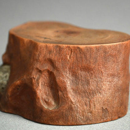 Antique Japanese Ishigami Rootwood Scholar Stand