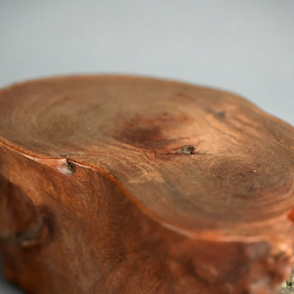 Antique Japanese Ishigami Rootwood Scholar Stand