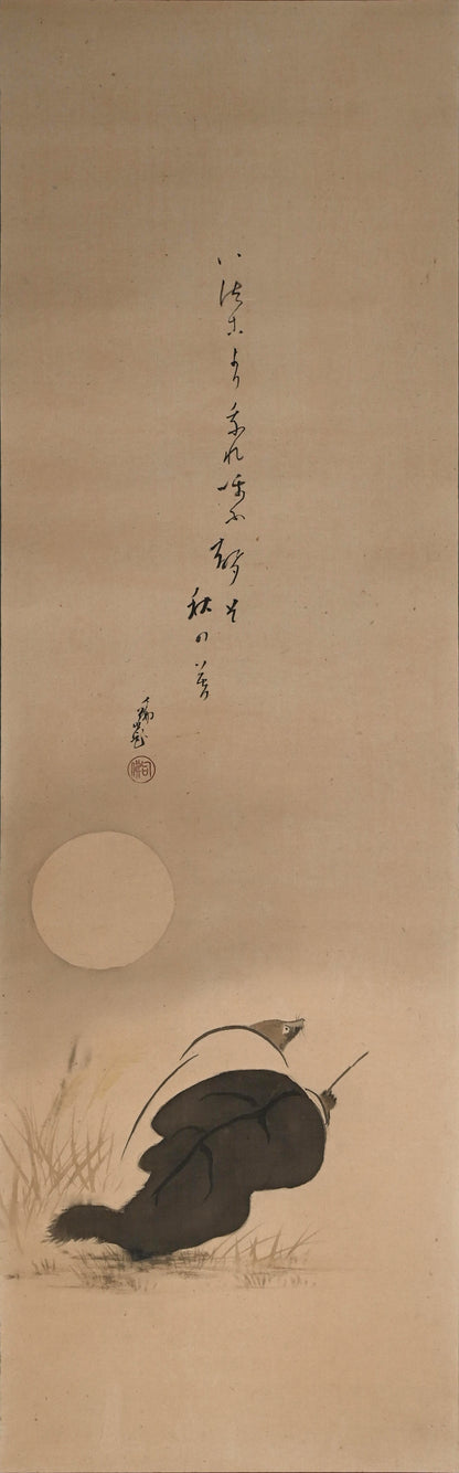 放浪僧に擬態する月夜の狐 ー大谷仏句「たぬき」