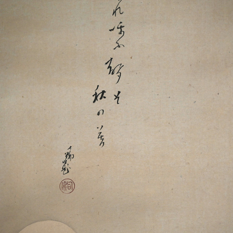 放浪僧に擬態する月夜の狐 ー大谷仏句「たぬき」