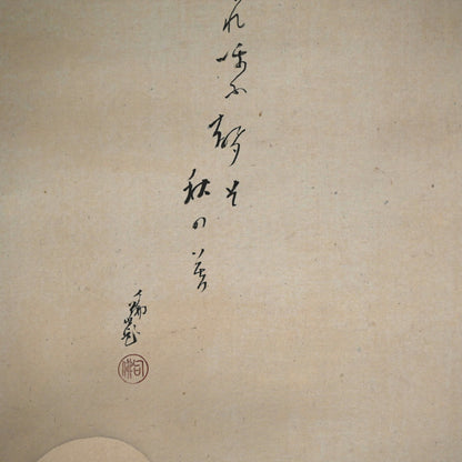 放浪僧に擬態する月夜の狐 ー大谷仏句「たぬき」