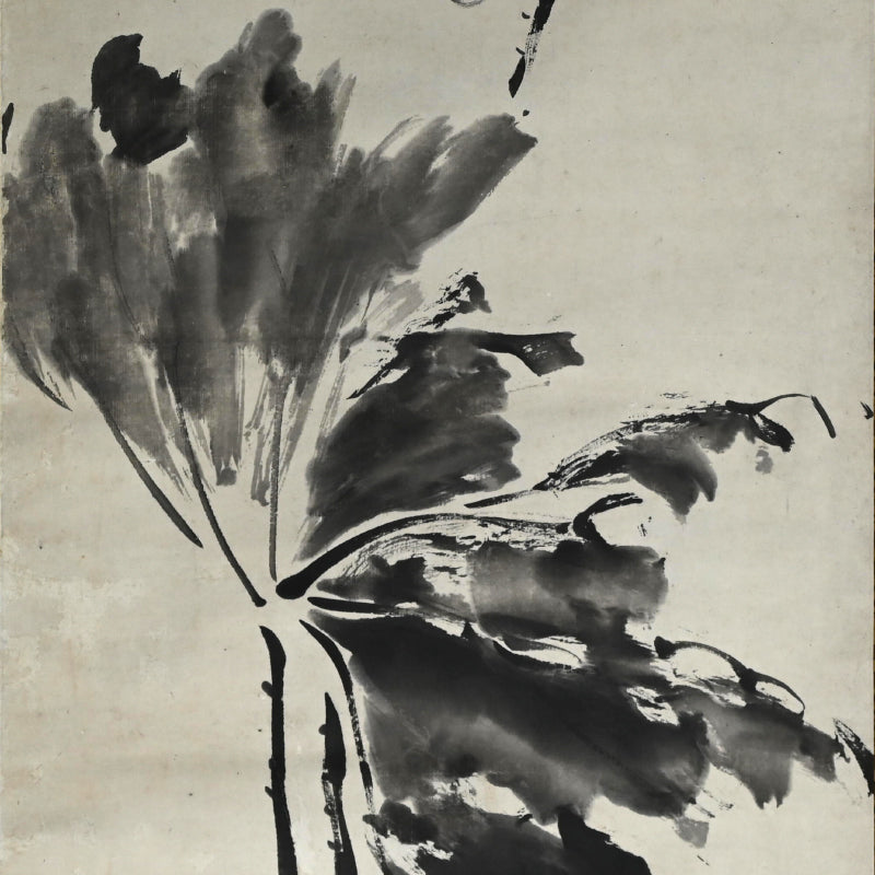 Antique Pair of Japanese Sumi-e Ink Lotus Scrolls, Hakuun ー白雲 “蓮之図”