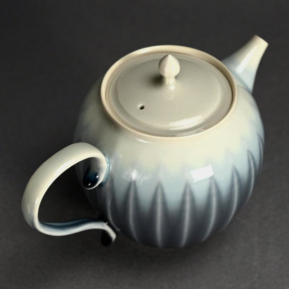 Exquisite Tea Pot ー永草 陽平 “流彩磁 ポット”