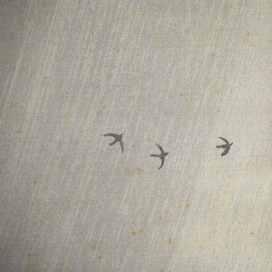 Winter Tempest ー林 文塘 “凍雲”