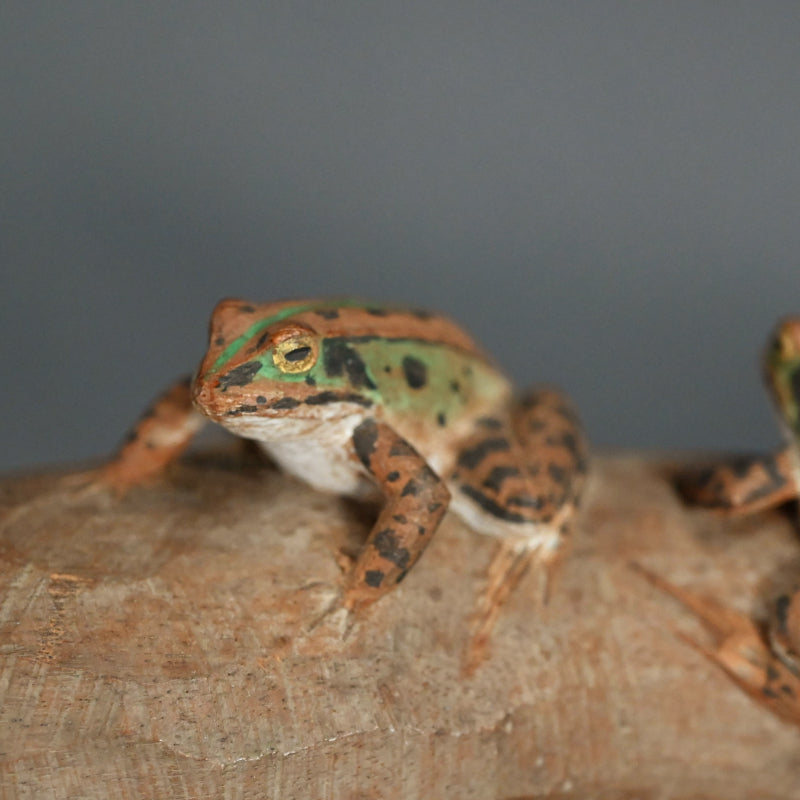 カエルの彫刻 ー宮本理三郎
