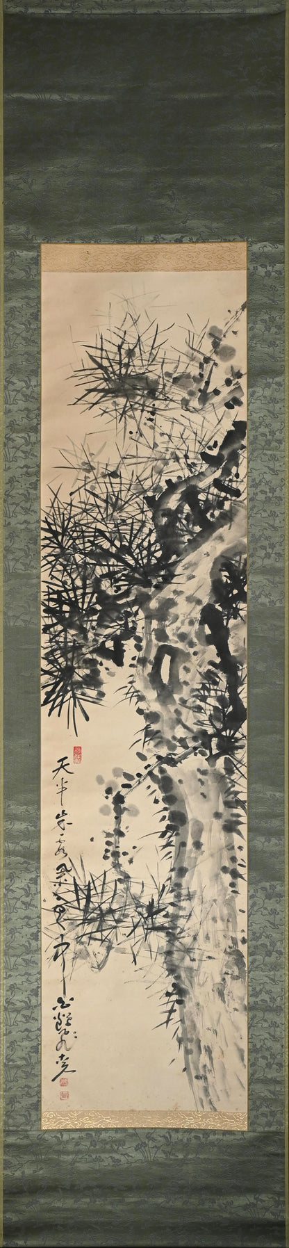 Ancient Pine Tree ー福田 古道人 “壱松図”