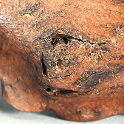 Large Carved Wood Habon Lotus Leaf Tea Tray by Senseki