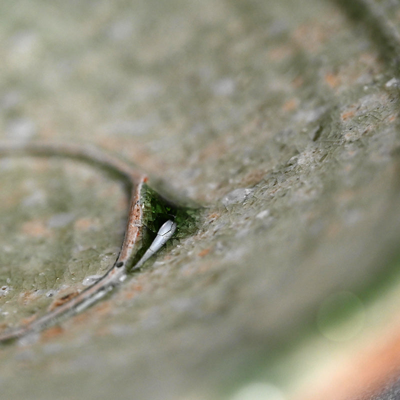 ボリュームのある伊賀焼の器 ー辻村 塊状の「伊賀鉢」